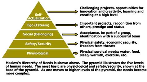 evolutionary psychologists sex up maslow s hierarchy of needs science 2 0