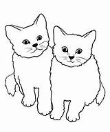 Cats Cat Coloring Clipart Pages Cute Two Cartoon Fluffy Drawing Kittens Color Kitten Realistic Printable Small Drawn Big Getcolorings Clip sketch template