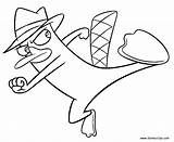Perry Platypus Getdrawings Ferb Phineas sketch template