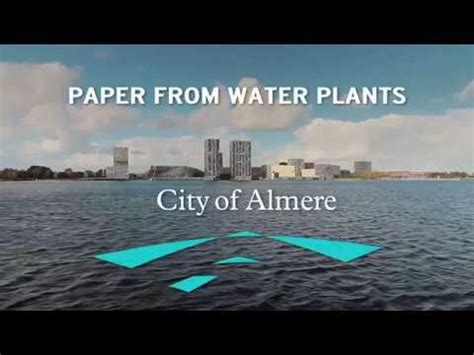 almere  aquatic plant  paper  bench eurocities  awards youtube