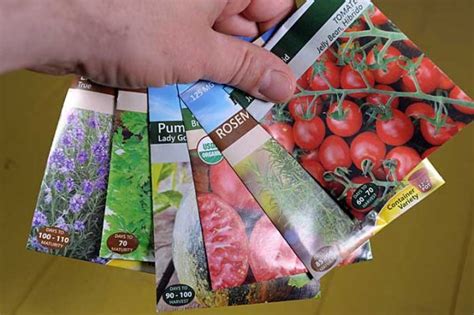 read seed packets  planting success gardeners path