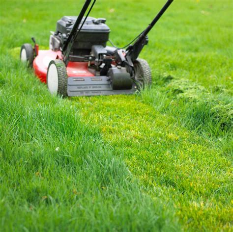ways  mow  lawn    healthy  homes gardens