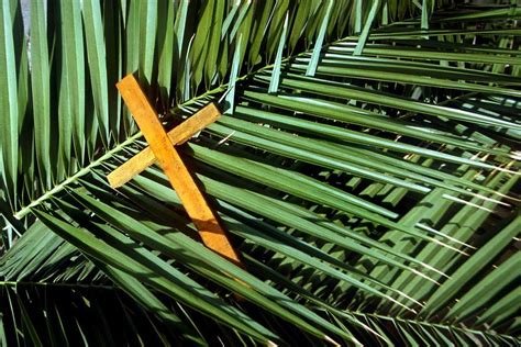wishing   blessed palm sunday blessed