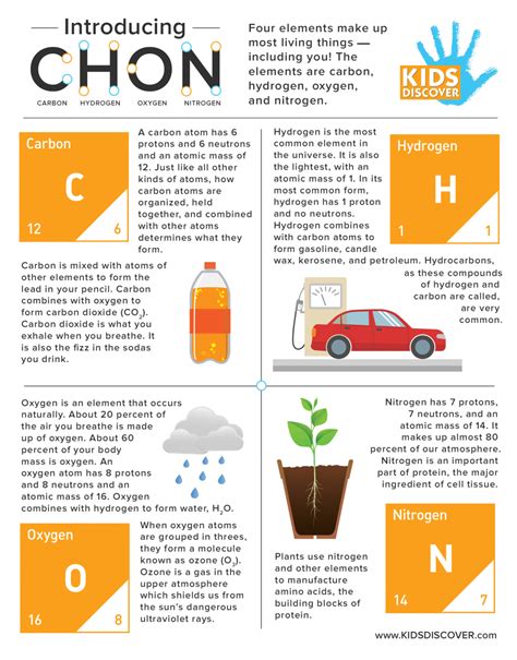 carbon hydrogen oxygen nitrogen chon infographic collectedny