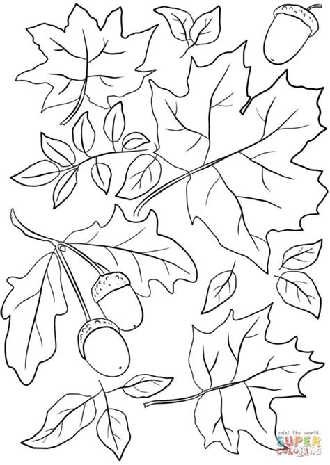 fall leaves coloring pages  adults pretty man log book photographs