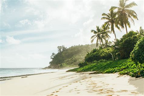 Seychelles Vs Maldives Where To Go On Vacation