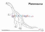 Colouring Plateosaurus Village Activity Explore sketch template