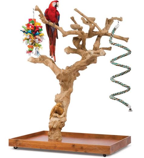 bird perch hand carved   coffea tree parrot stand bird stand diy bird toys diy birds