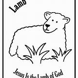 Lamb Little Mary Had Coloring Color Printable Pages Getcolorings sketch template