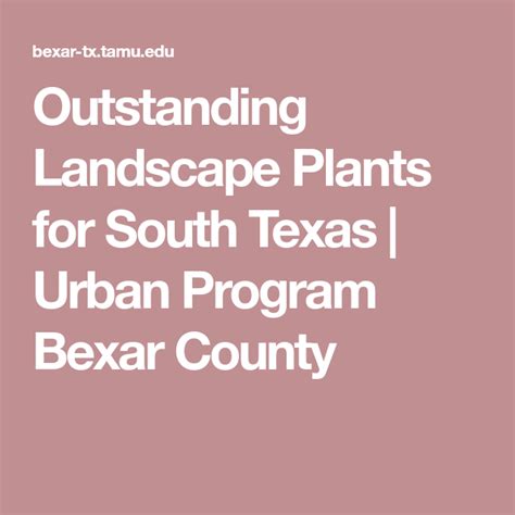 Outstanding Landscape Plants For South Texas Urban Program Bexar