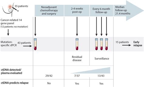breast cancer treatment by stage