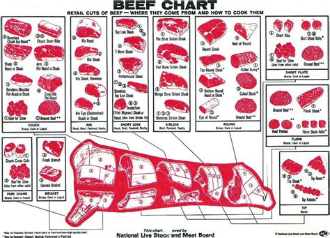 beef charts showing   beef cut     beef  common
