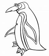 Coloring Pages Penguin Penguins Printactivities Animals Print Giraffes Frogs sketch template