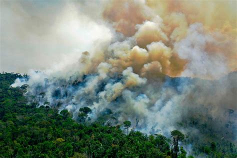 protests  amazon fire brazils deforestation  reached  year high
