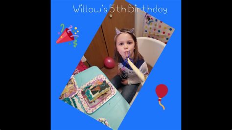 Willow S Cat Themed Birthday Party Youtube
