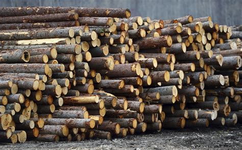 final finding  canadian softwood lumber imports  spokesman review