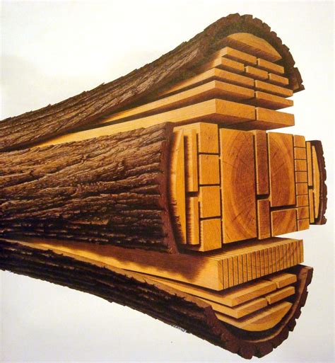 log  cut  lumber rpics