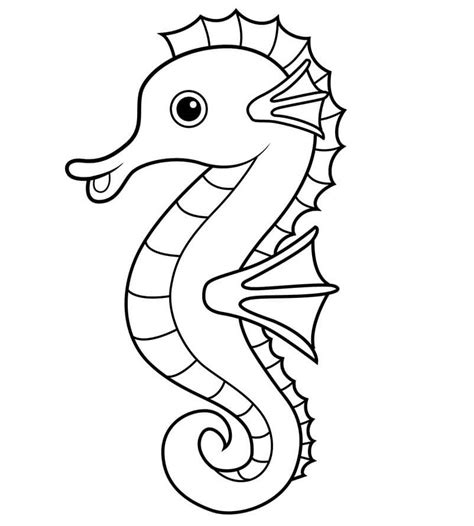 seahorses coloring page  printable coloring pages  kids