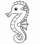 Seahorse Pages sketch template