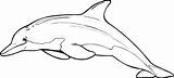 Dolphin Clipart Coloring Pages Drawing Clip Dolphins Printable Color Outline Bottlenose Cliparts Print Line Kids Cut Draw Sheets Drawings Colored sketch template