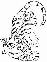 Coloring Tiger Pages Tigers Big Cat Detroit Stripes Wild Colouring Printable Baby Color Cartoon Clip Cliparts Resting Head Cute Getcolorings sketch template