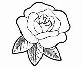 Coloring Rose Printable Pages Ai sketch template