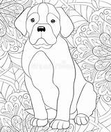 Boek Backg Leuke Volwassen Hond Kleurende sketch template