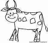 Cow Template sketch template