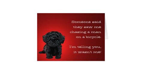 The Innocent Pup Greeting Card Zazzle