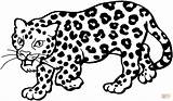 Coloring Leopard Pages Color Printable Drawing sketch template