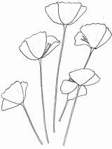 Poppy Poppies sketch template