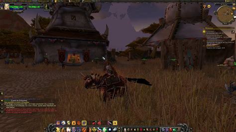 world of warcraft road to level cap lvl 39 40 15