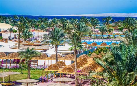 Egiptas Desert Rose Resort 5 Ai 7 Naktys Kelionių Lagaminas