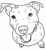 Pitbull Coloring Pages Puppy Realistic Bulldog French Drawing Dog Pit Bull Color Drawings Easy Line Printable Getcolorings Draw Face Cartoon sketch template