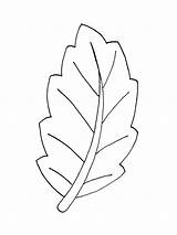Leaves Coloring Pages Kids Fun sketch template