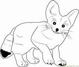 Fox Coloring Pages Fennec Cute Baby Color Printable Foxes Animals Print Coloringpages101 Kids Drawings Designlooter Getdrawings Getcolorings Library Clipart Online sketch template