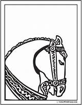 Horse Coloring Head Pages Roman Riding Colorwithfuzzy sketch template