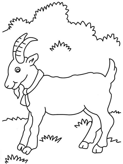 cute goat coloring page goat coloring coloring home
