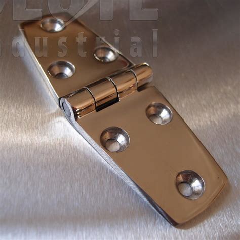 stainless steel door hinge  marine grade  absolute