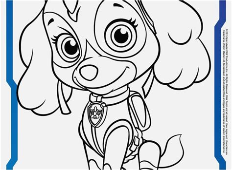 paw patrol coloring pages sky  getcoloringscom  printable