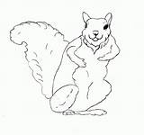 Squirrel Coloring Pages Printable Kids Print Flying Preschool Monkey Library Clipart Fox Bestcoloringpagesforkids sketch template