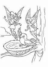 Hadas Dibujos Tinkerbell Fairy Hada Colornimbus sketch template