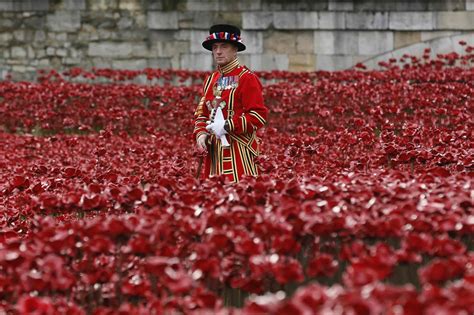 Remembrance Day In Pictures Metro News