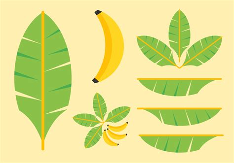 Banana Leaves Clipart Folha Estampada Molde Folhas