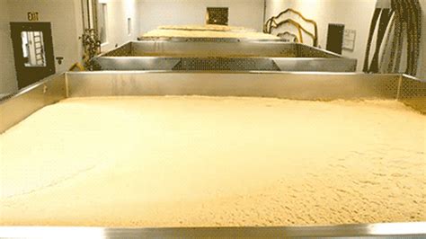 fermenting beer time lapse shows  beautiful breathing sludge monster