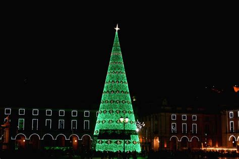 portugal lisbon christmas tree