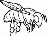 Coloringsky Bumblebee Abelha Clipartmag sketch template