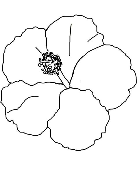 hibiscus coloring pages  printable coloring pages  kids