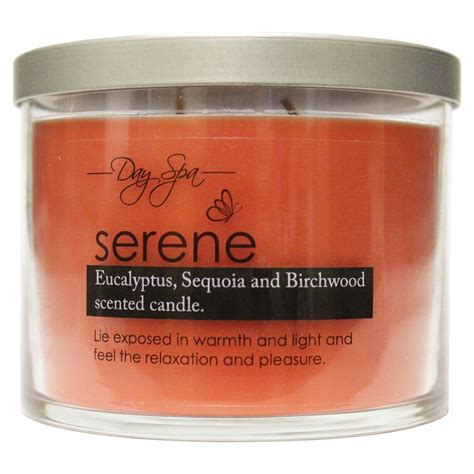 ebern designs serene day spa aromatherapy soy scented jar candle wayfair