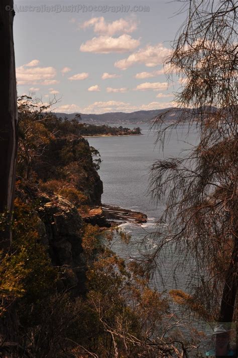 alum cliffs walk kingston beach all over australia